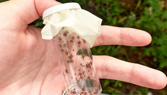 ticks spreading heartland virus 3 25